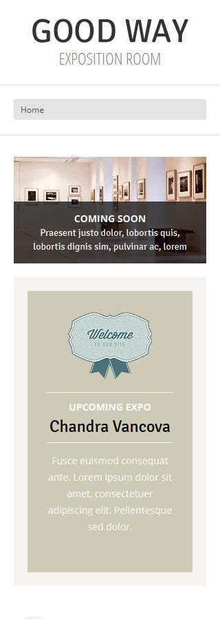 WordPress Themes - GoWebBaby.Com