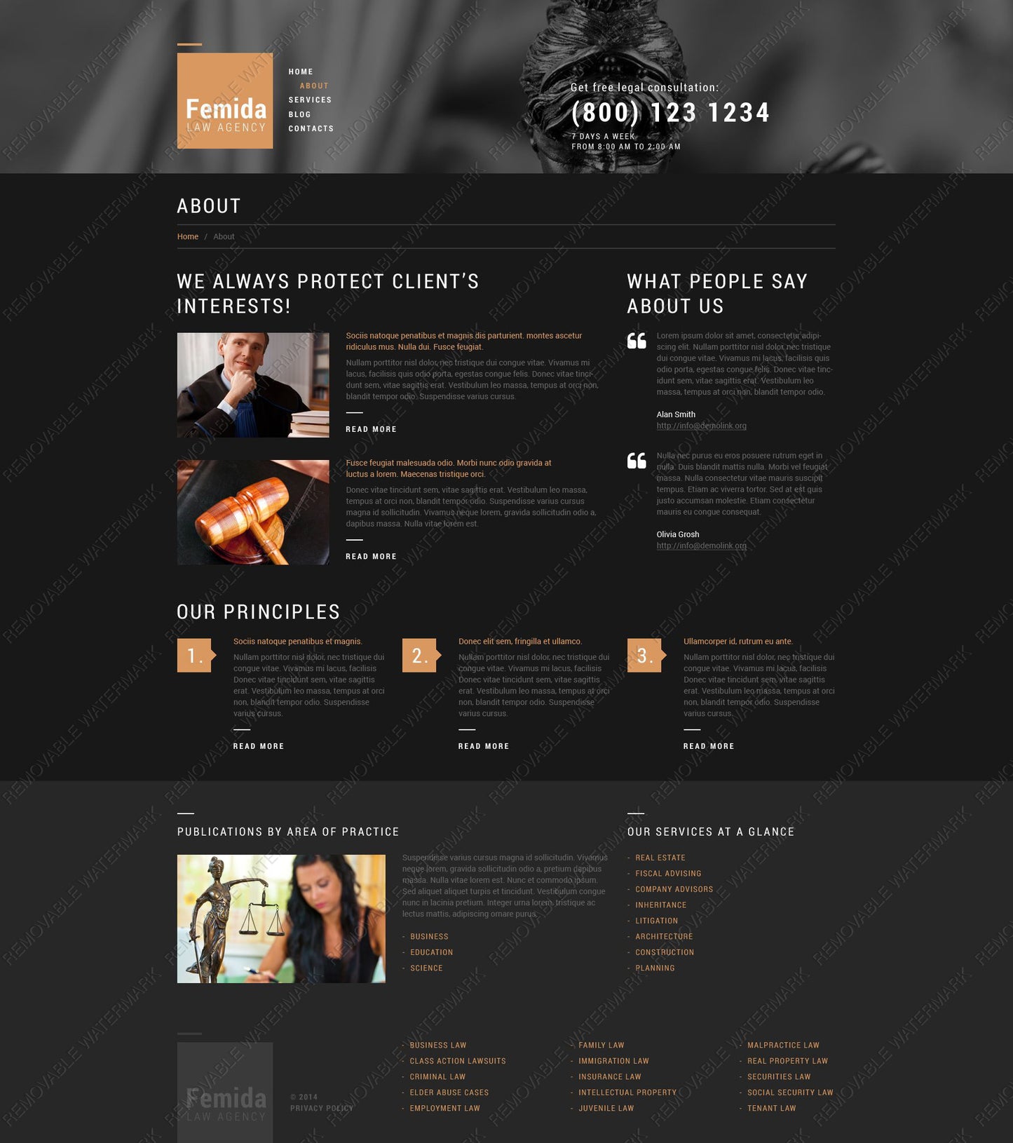 WordPress Themes - GoWebBaby.Com