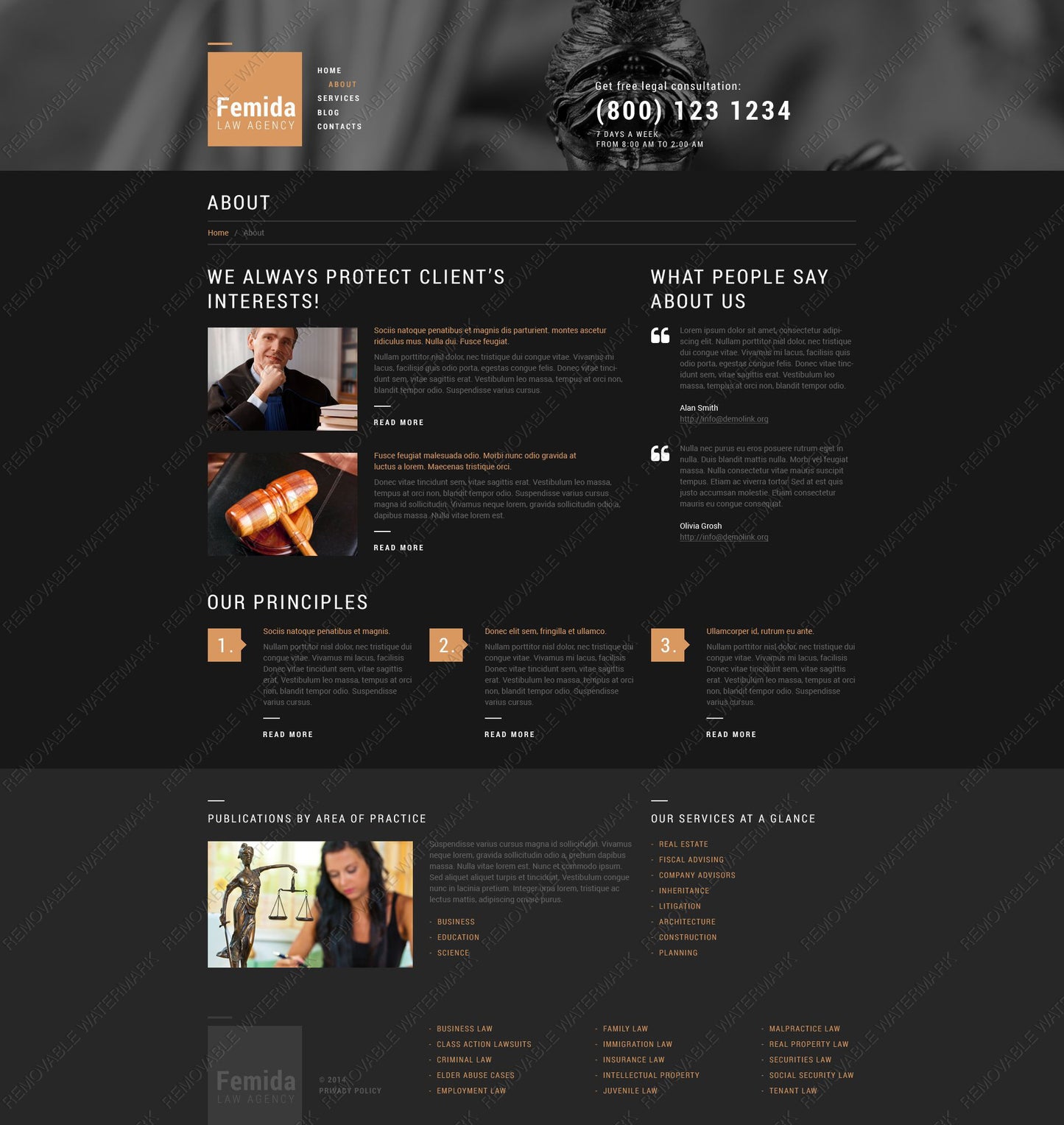WordPress Themes - GoWebBaby.Com