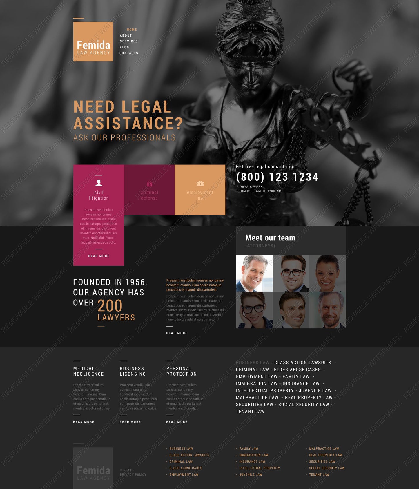 WordPress Themes - GoWebBaby.Com