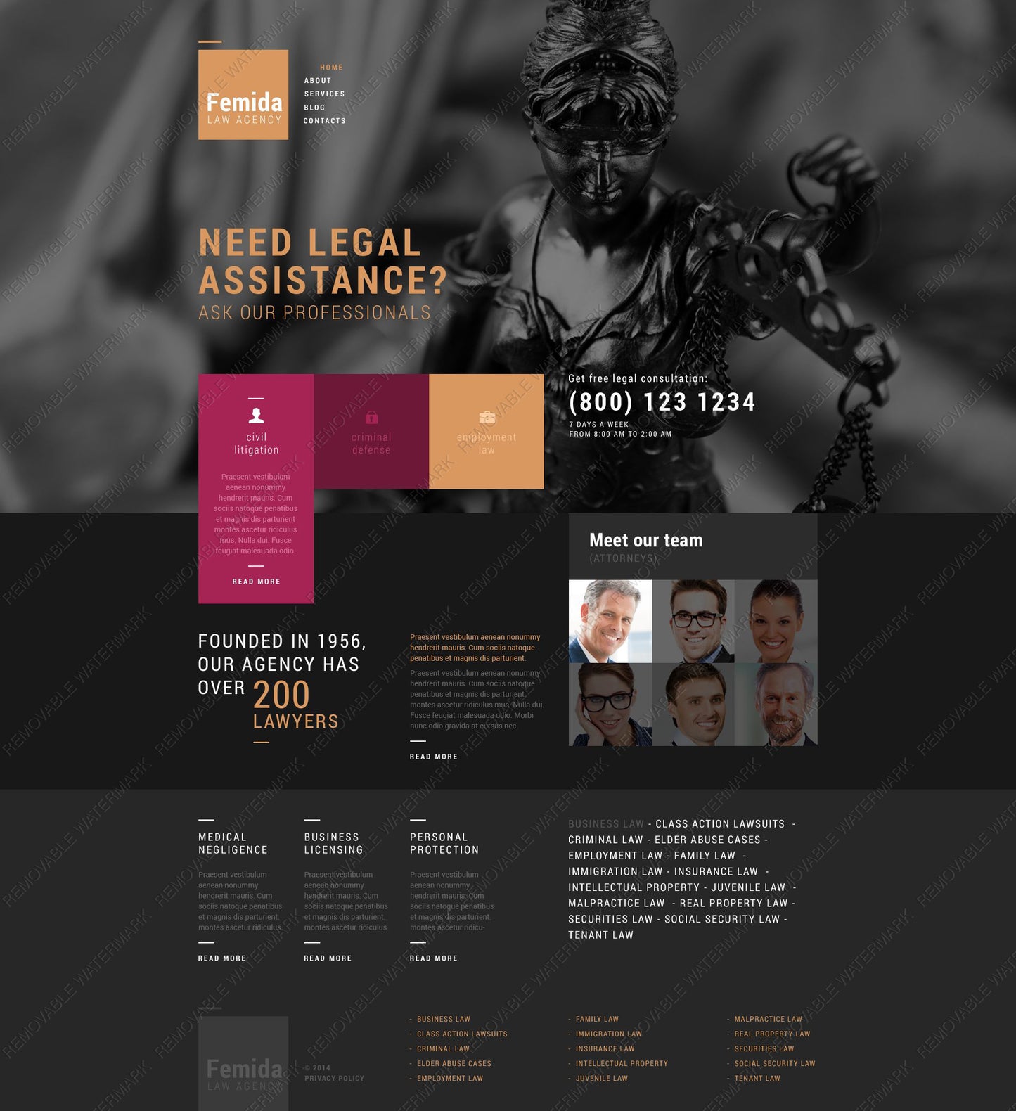 WordPress Themes - GoWebBaby.Com