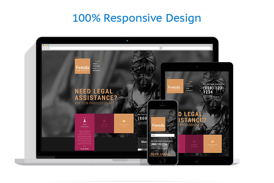 WordPress Themes - GoWebBaby.Com