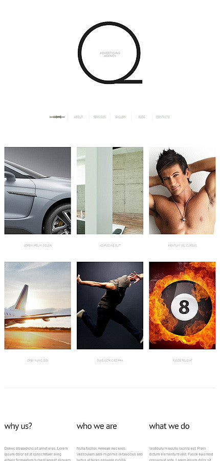 WordPress Themes - GoWebBaby.Com