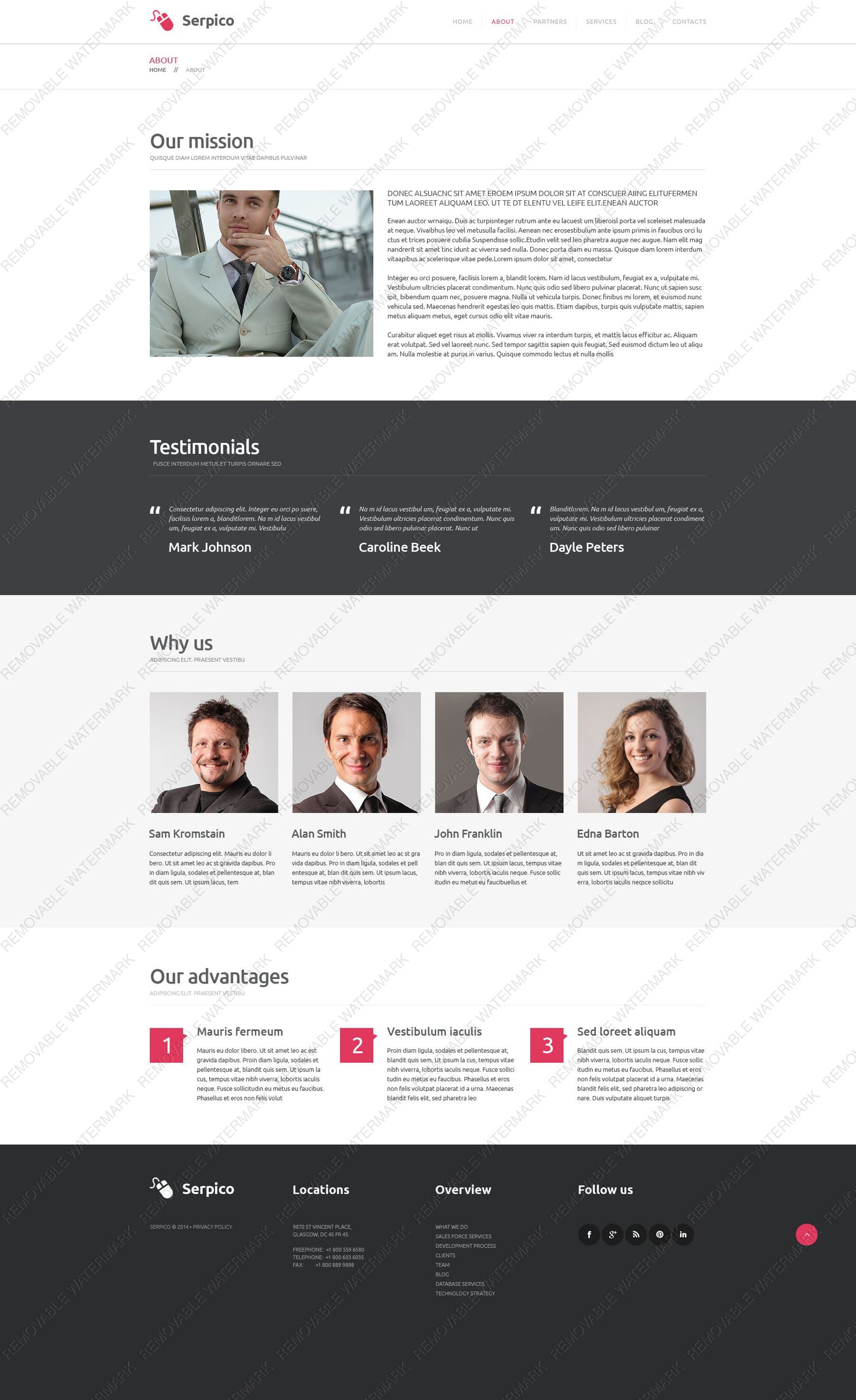 WordPress Themes - GoWebBaby.Com