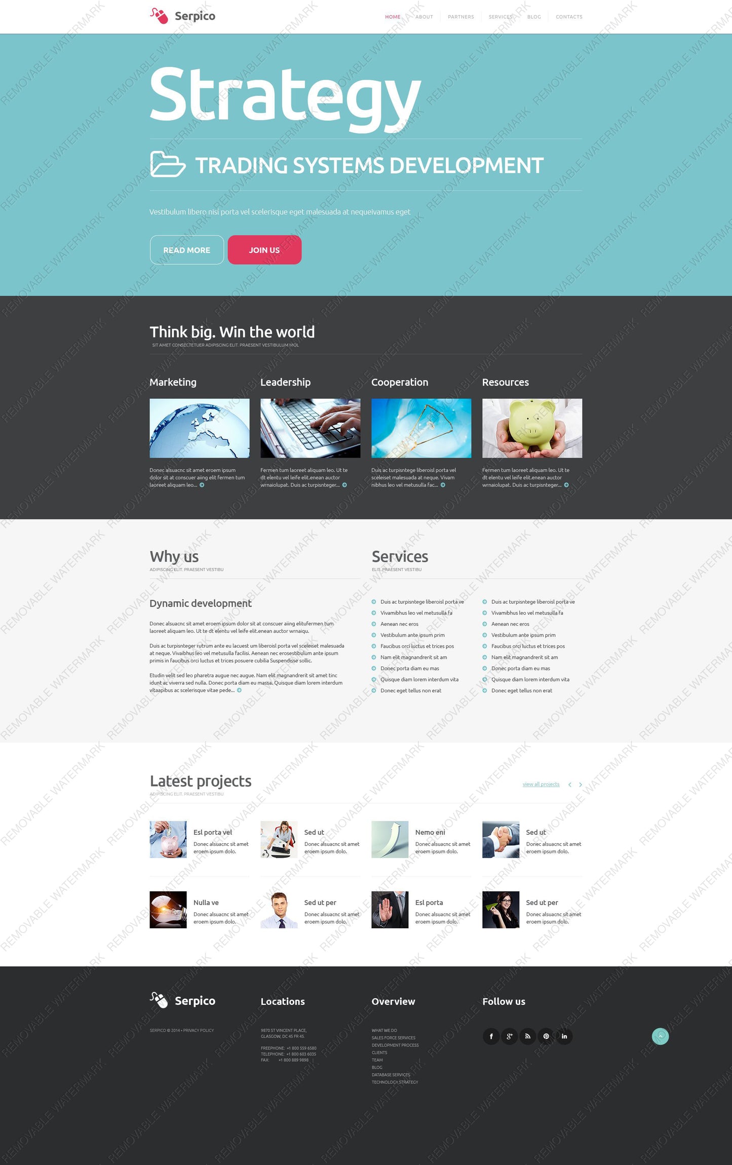 WordPress Themes - GoWebBaby.Com