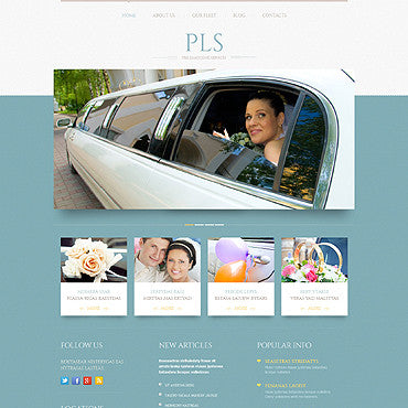 WordPress Themes - GoWebBaby.Com