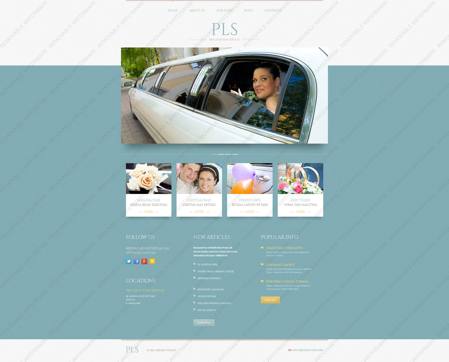 WordPress Themes - GoWebBaby.Com