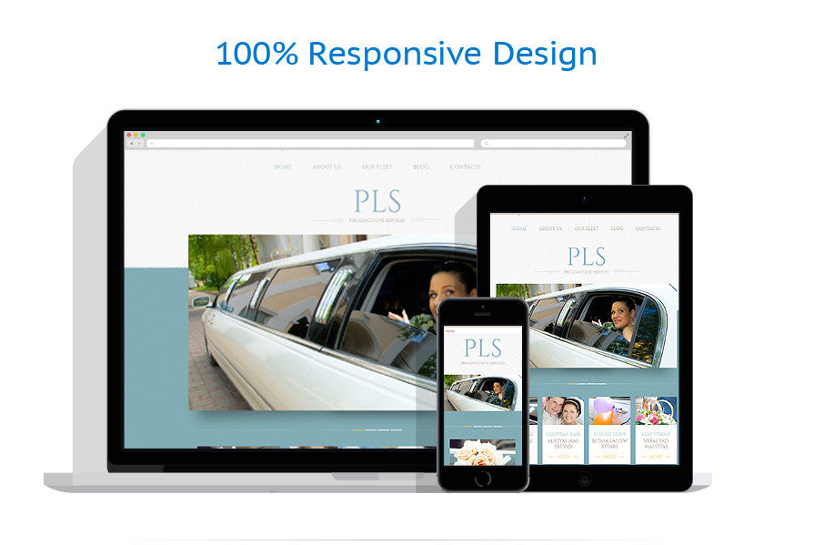 WordPress Themes - GoWebBaby.Com