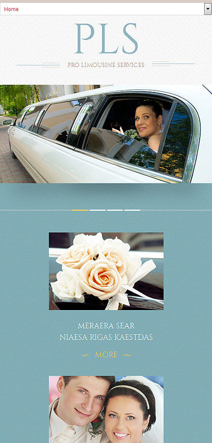WordPress Themes - GoWebBaby.Com