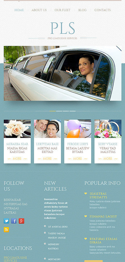 WordPress Themes - GoWebBaby.Com