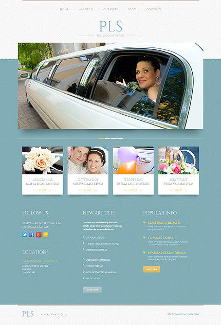 WordPress Themes - GoWebBaby.Com
