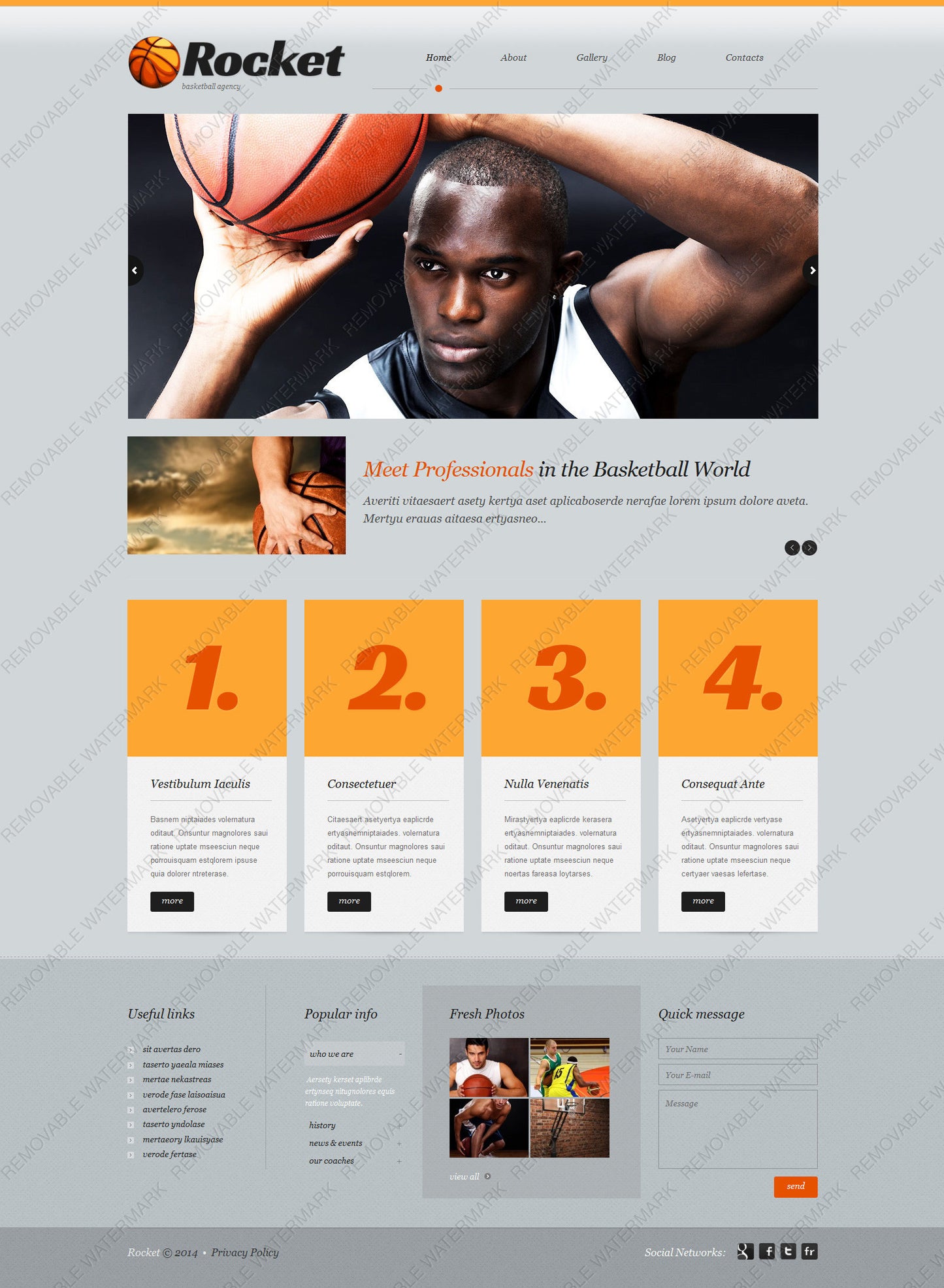 WordPress Themes - GoWebBaby.Com