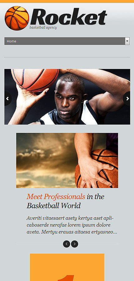 WordPress Themes - GoWebBaby.Com