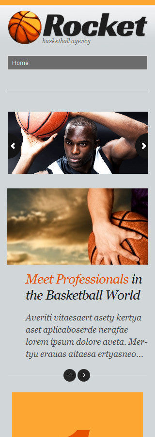 WordPress Themes - GoWebBaby.Com