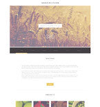 WordPress Themes - GoWebBaby.Com