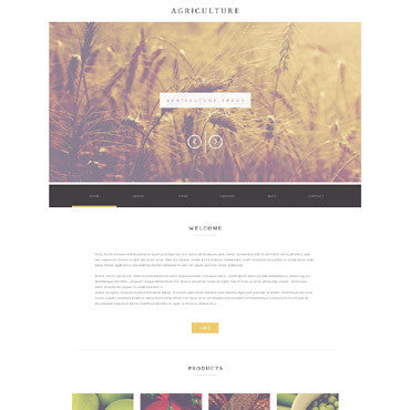 WordPress Themes - GoWebBaby.Com