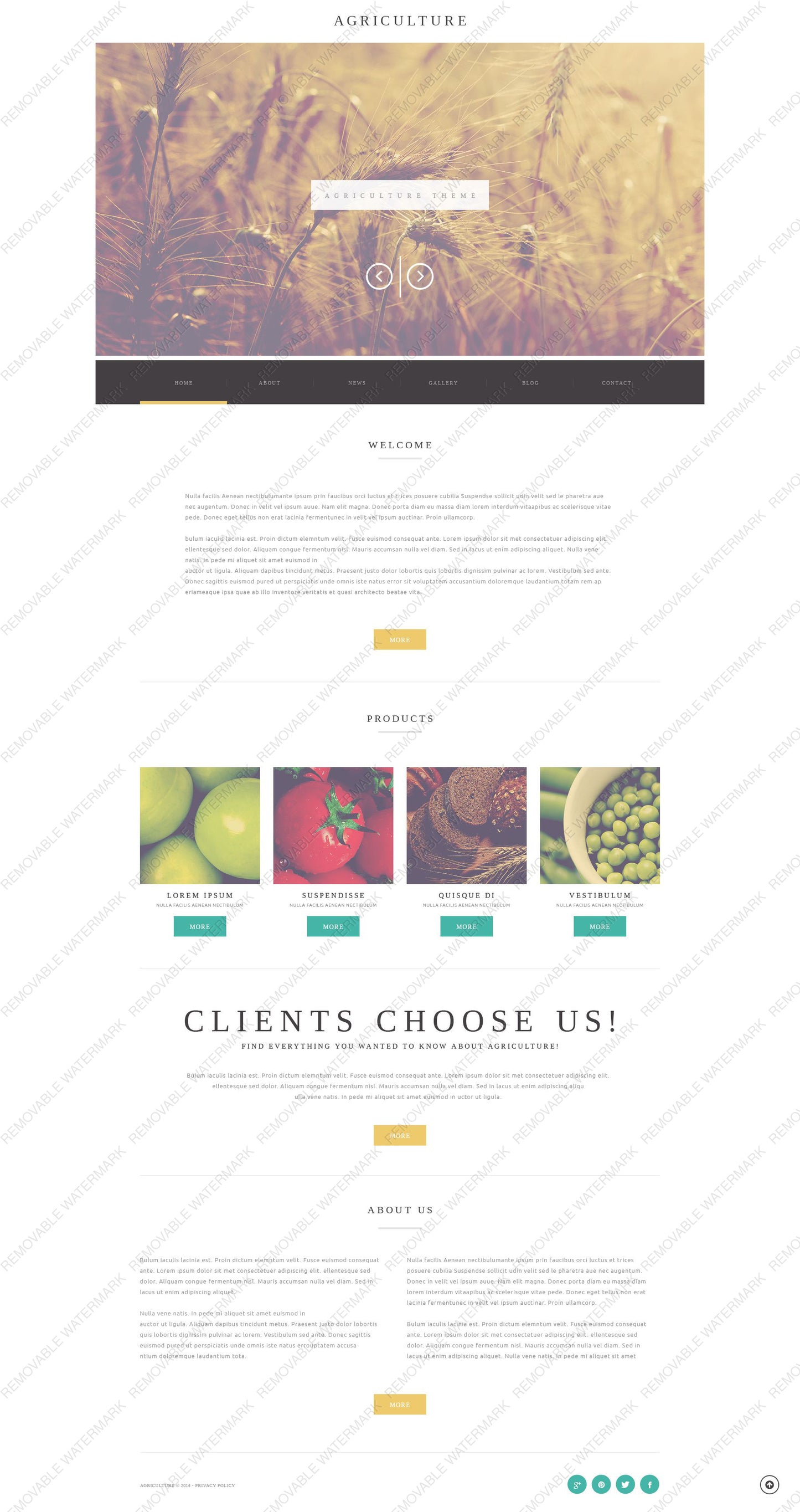 WordPress Themes - GoWebBaby.Com