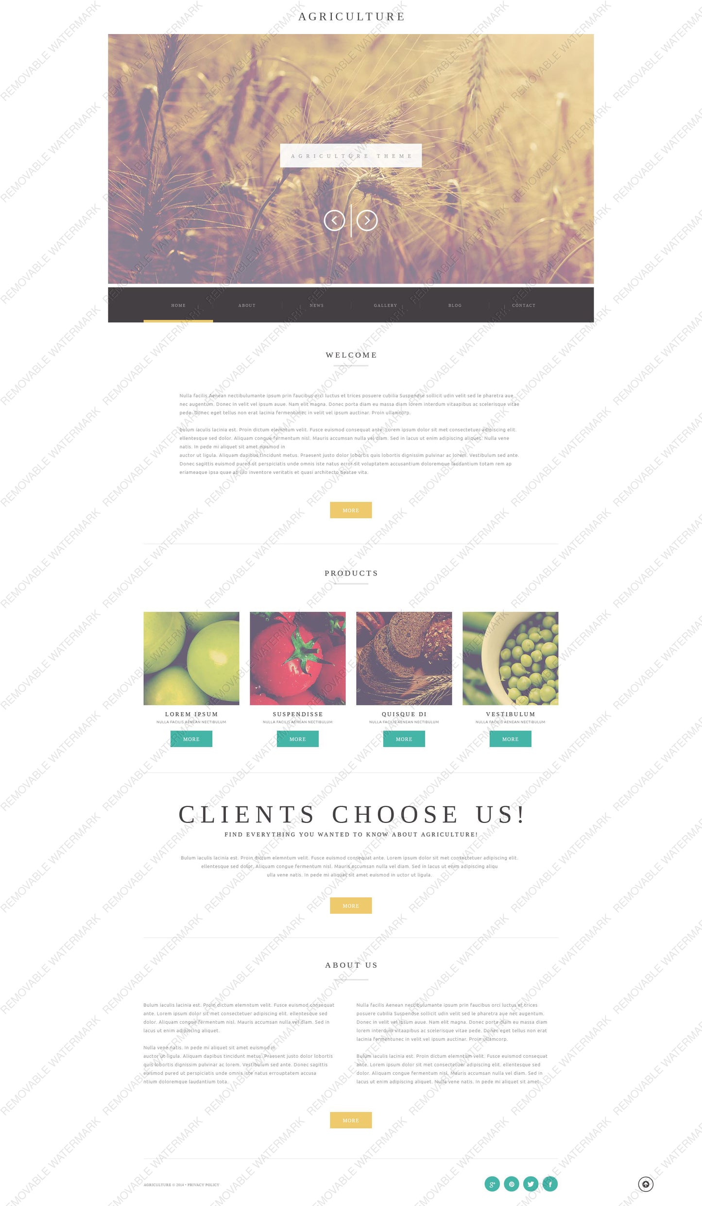 WordPress Themes - GoWebBaby.Com