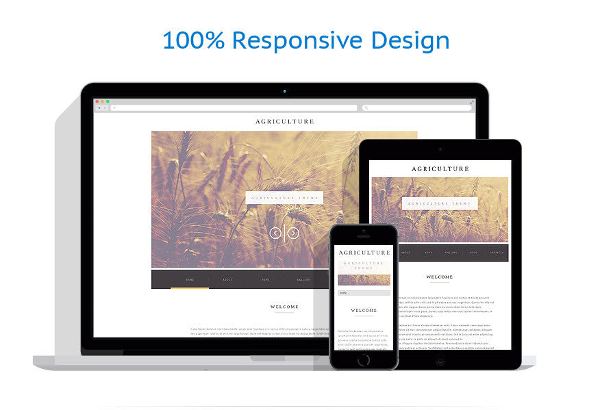 WordPress Themes - GoWebBaby.Com