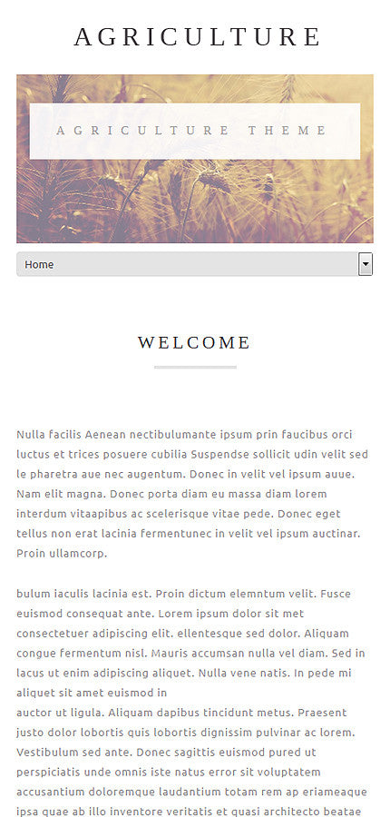 WordPress Themes - GoWebBaby.Com