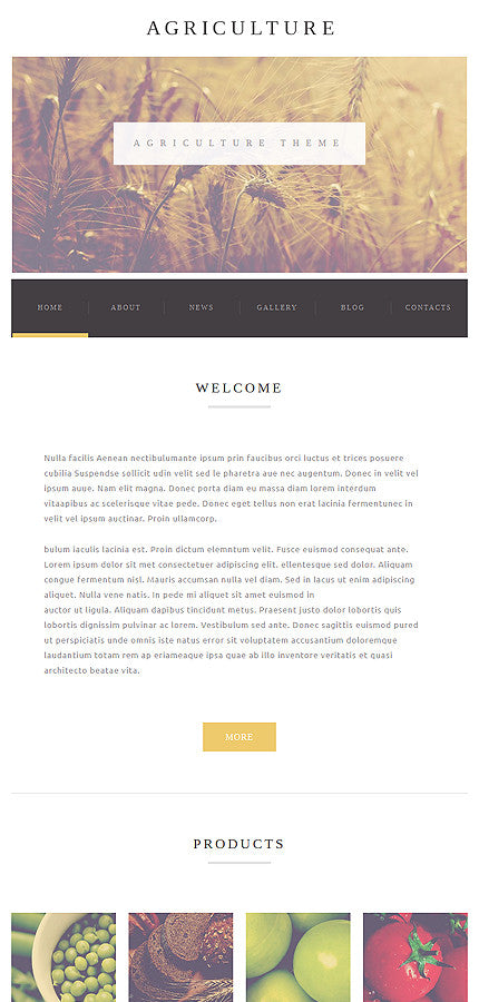 WordPress Themes - GoWebBaby.Com
