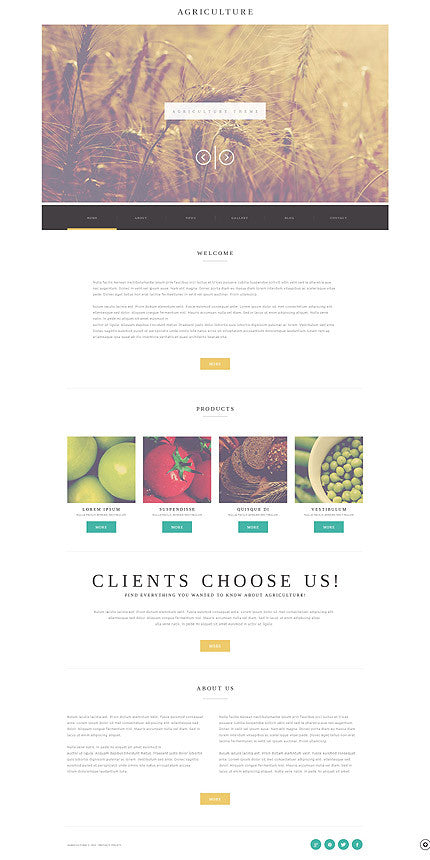 WordPress Themes - GoWebBaby.Com