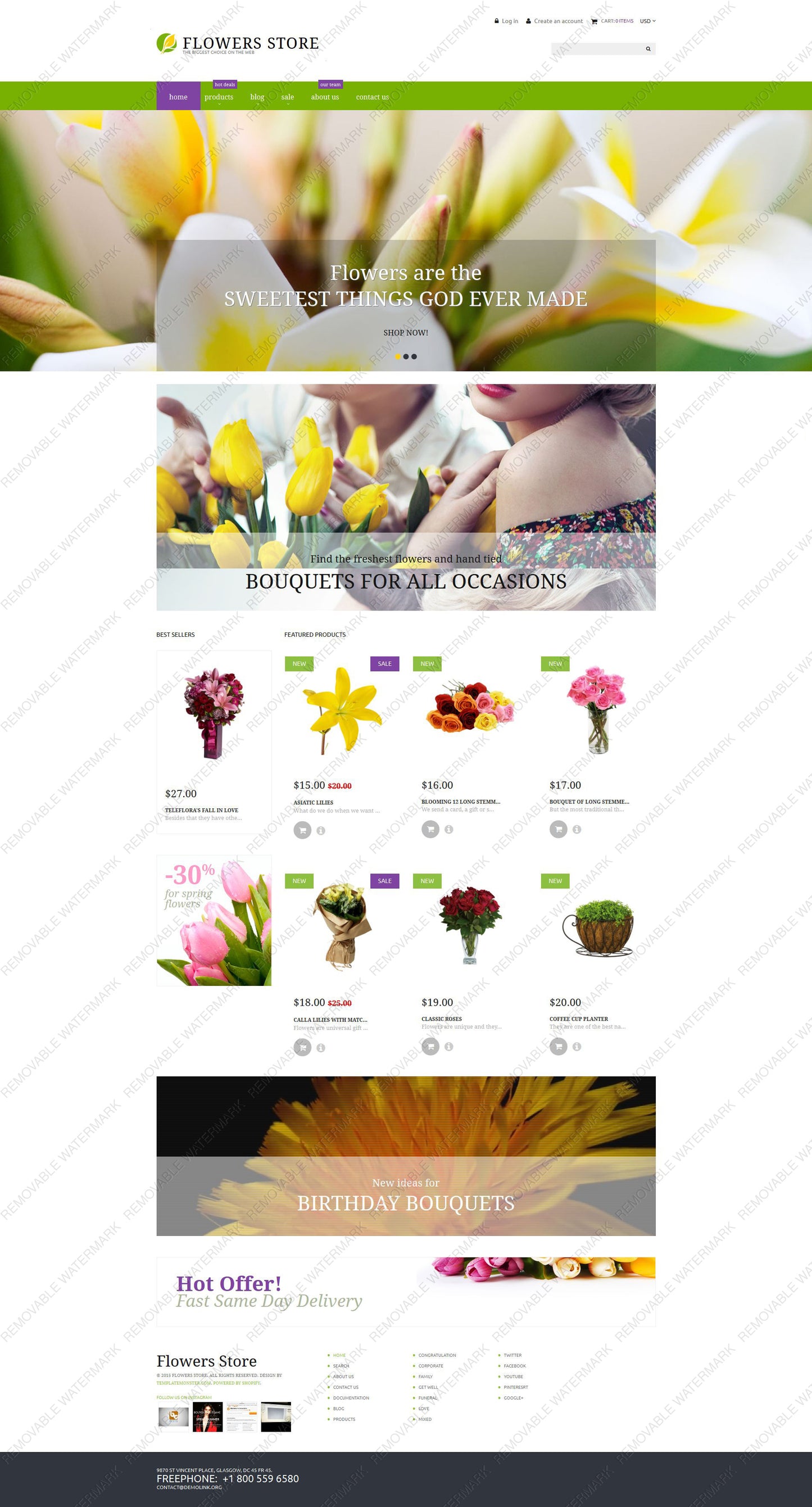 Shopify Themes - GoWebBaby.Com
