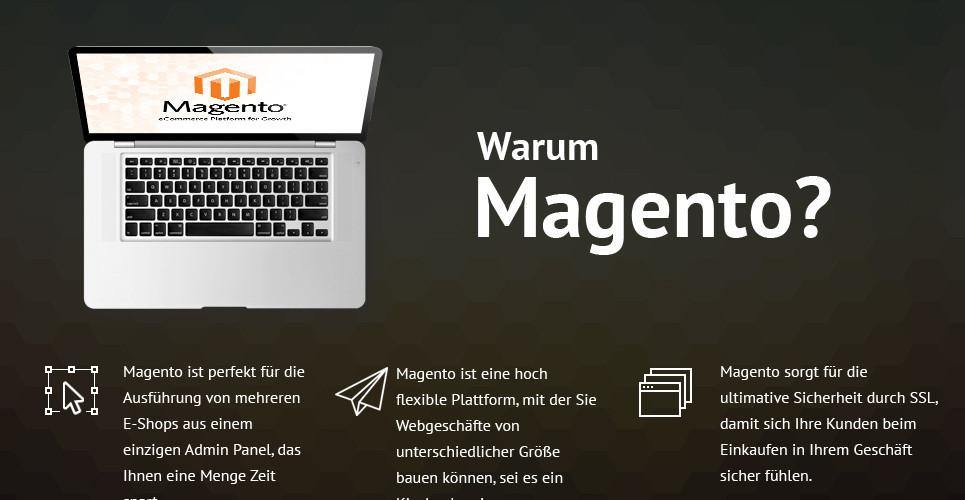 Designer Apparel Store Magento Website Design - GoWebBaby.Com