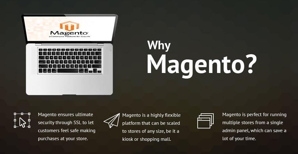 Designer Apparel Store Magento Website Design - GoWebBaby.Com