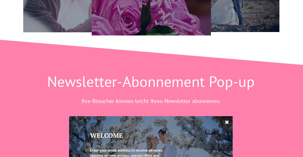 Shopify Themes - GoWebBaby.Com
