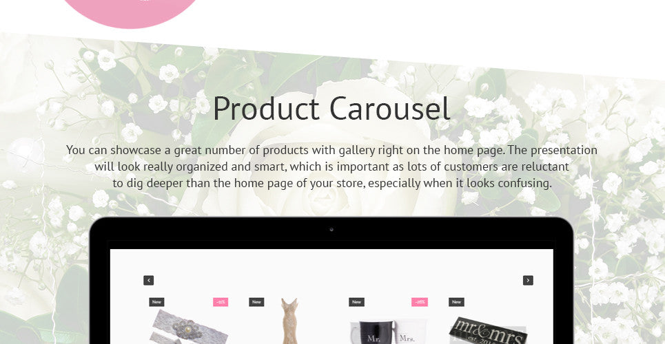 Shopify Themes - GoWebBaby.Com