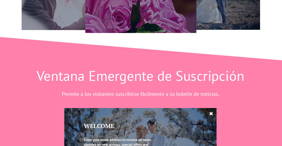 Shopify Themes - GoWebBaby.Com
