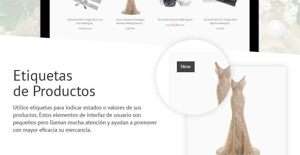 Shopify Themes - GoWebBaby.Com