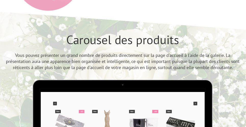Shopify Themes - GoWebBaby.Com