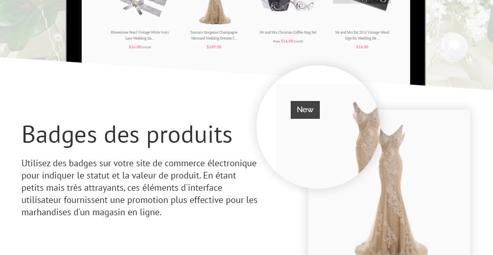 Shopify Themes - GoWebBaby.Com