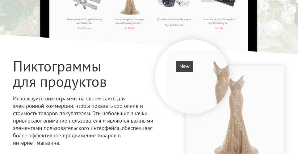 Shopify Themes - GoWebBaby.Com