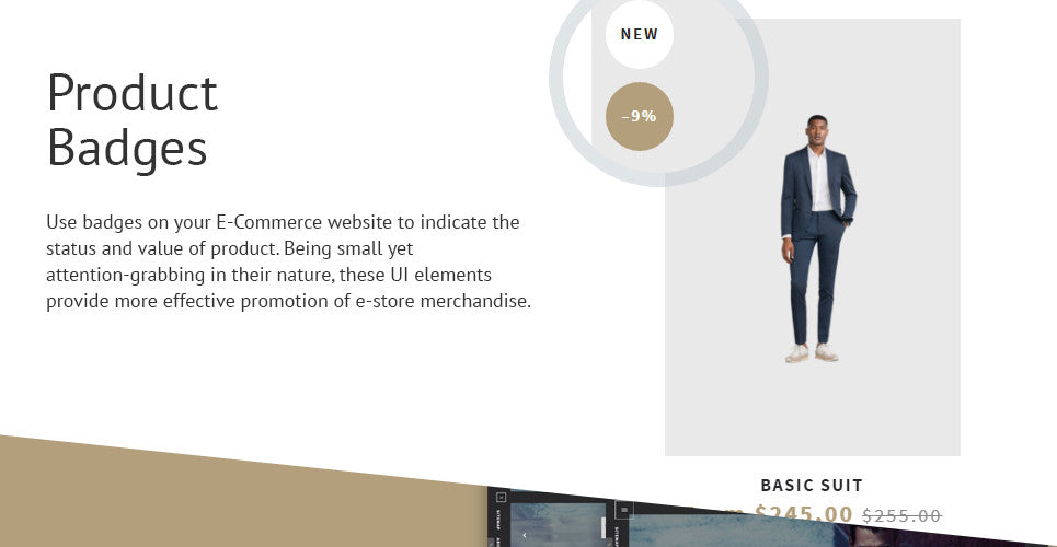 Shopify Themes - GoWebBaby.Com