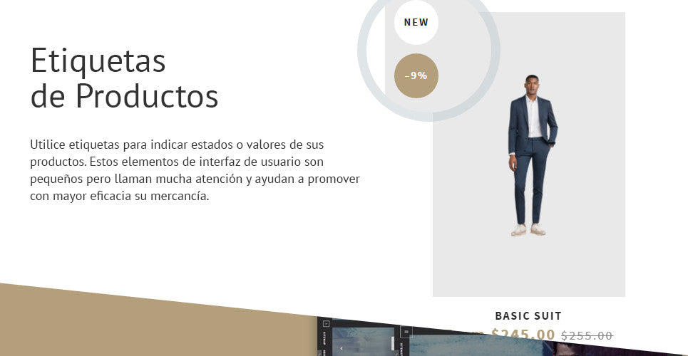 Shopify Themes - GoWebBaby.Com