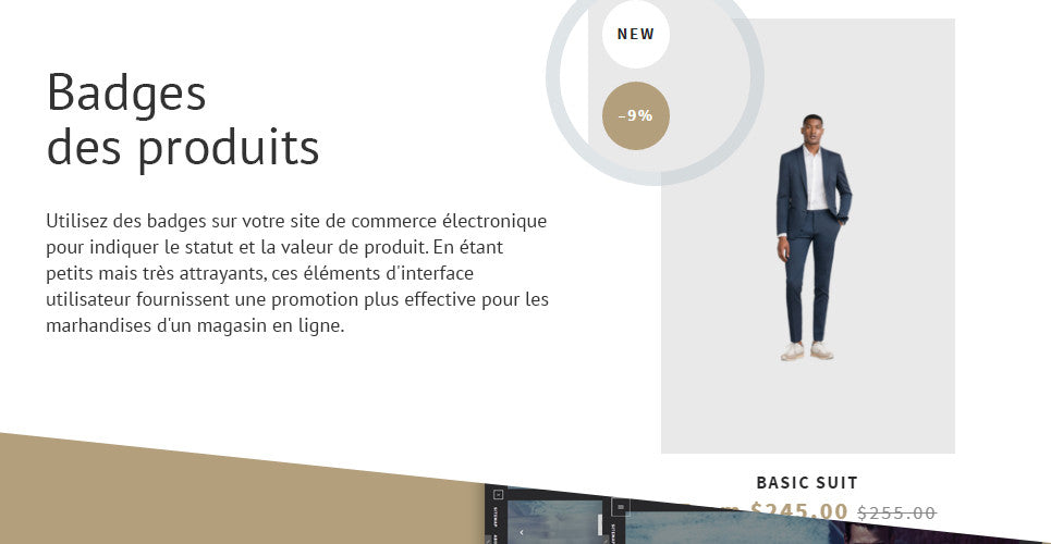Shopify Themes - GoWebBaby.Com