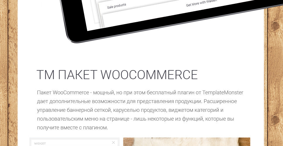 WooCommerce Themes - GoWebBaby.Com