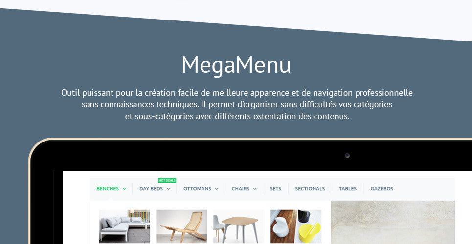 Shopify Themes - GoWebBaby.Com