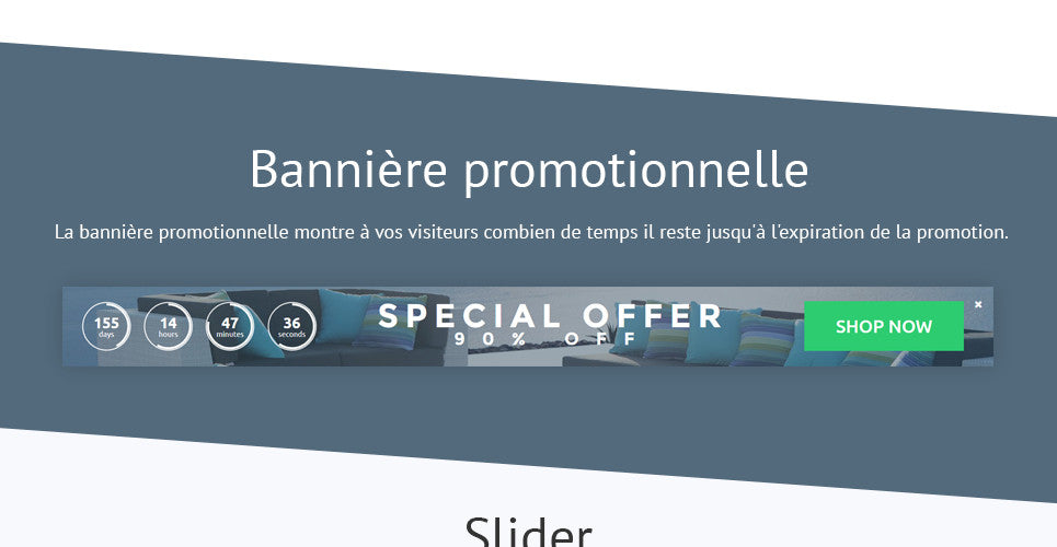 Shopify Themes - GoWebBaby.Com