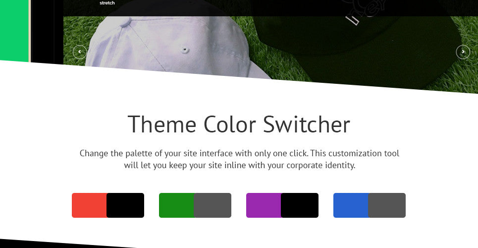 Shopify Themes - GoWebBaby.Com