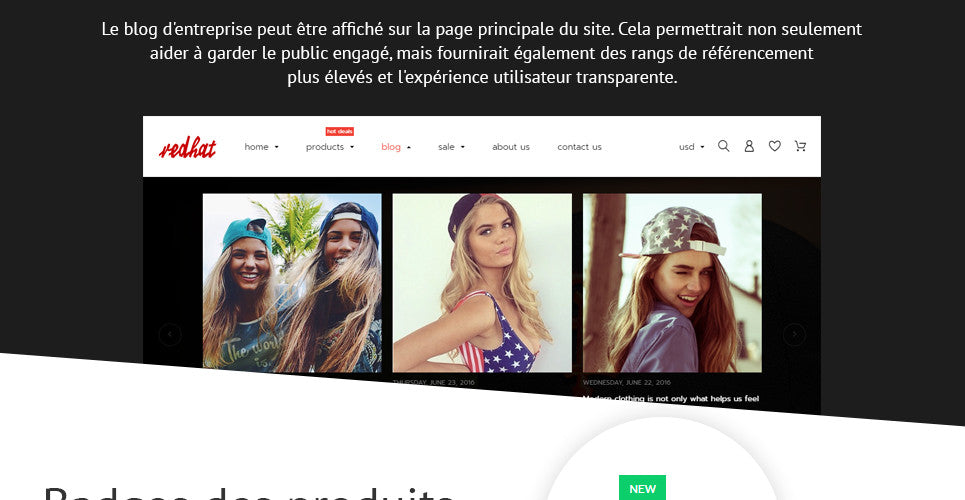 Shopify Themes - GoWebBaby.Com