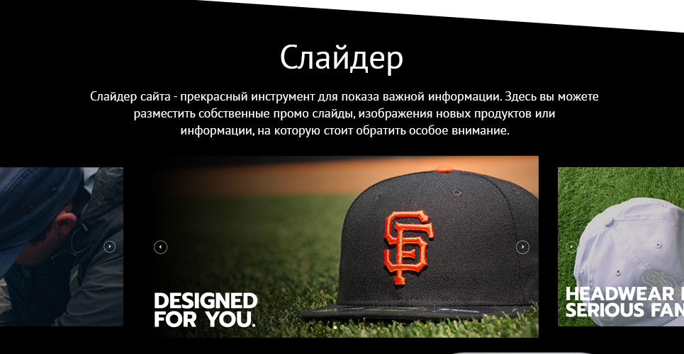 Shopify Themes - GoWebBaby.Com