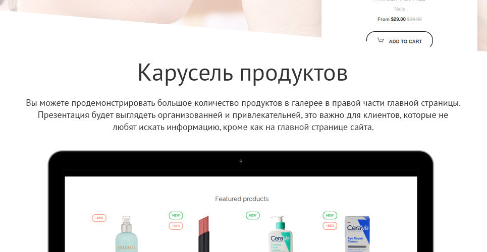 Shopify Themes - GoWebBaby.Com