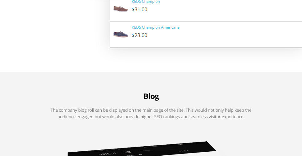 Shoe Store Magento Website Design - GoWebBaby.Com