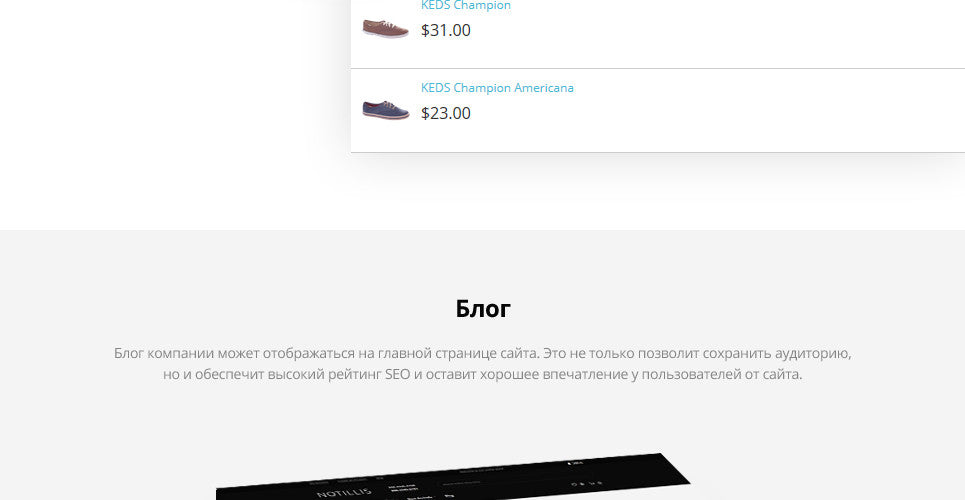 Shoe Store Magento Website Design - GoWebBaby.Com