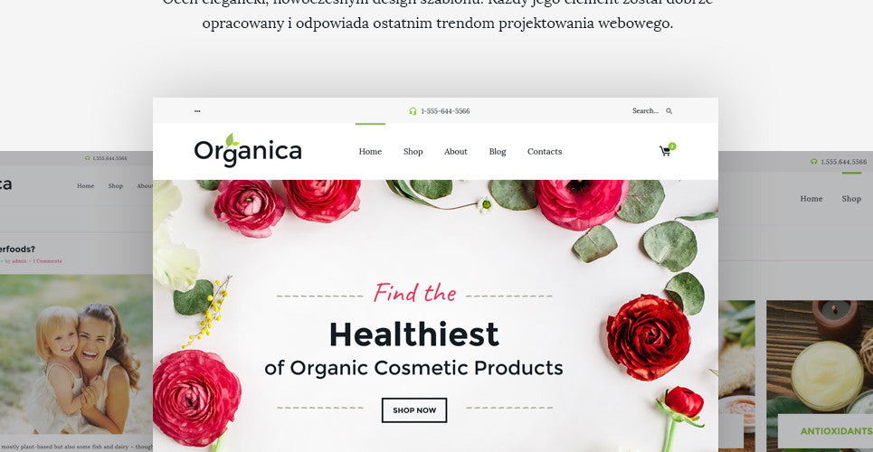 WooCommerce Themes - GoWebBaby.Com