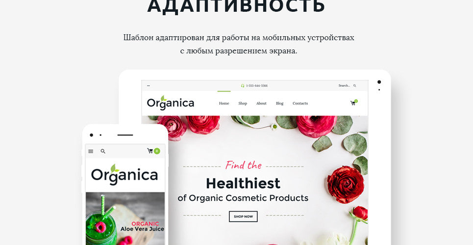 WooCommerce Themes - GoWebBaby.Com